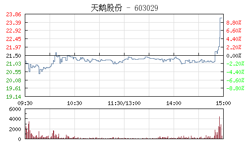 天鵝股份