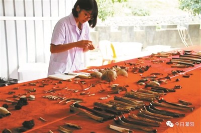 被害紅軍烈士遺骸83年後重見天日，已打撈出20具