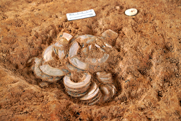 lorem ipsum dolor sit