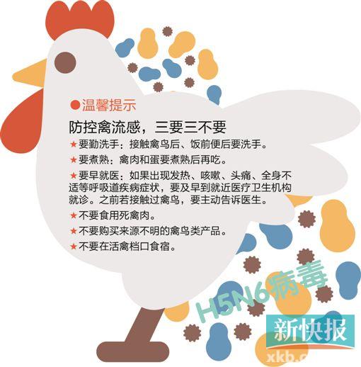 廣東現H5N6病例 專家：病毒無變異 不會人傳人(圖)